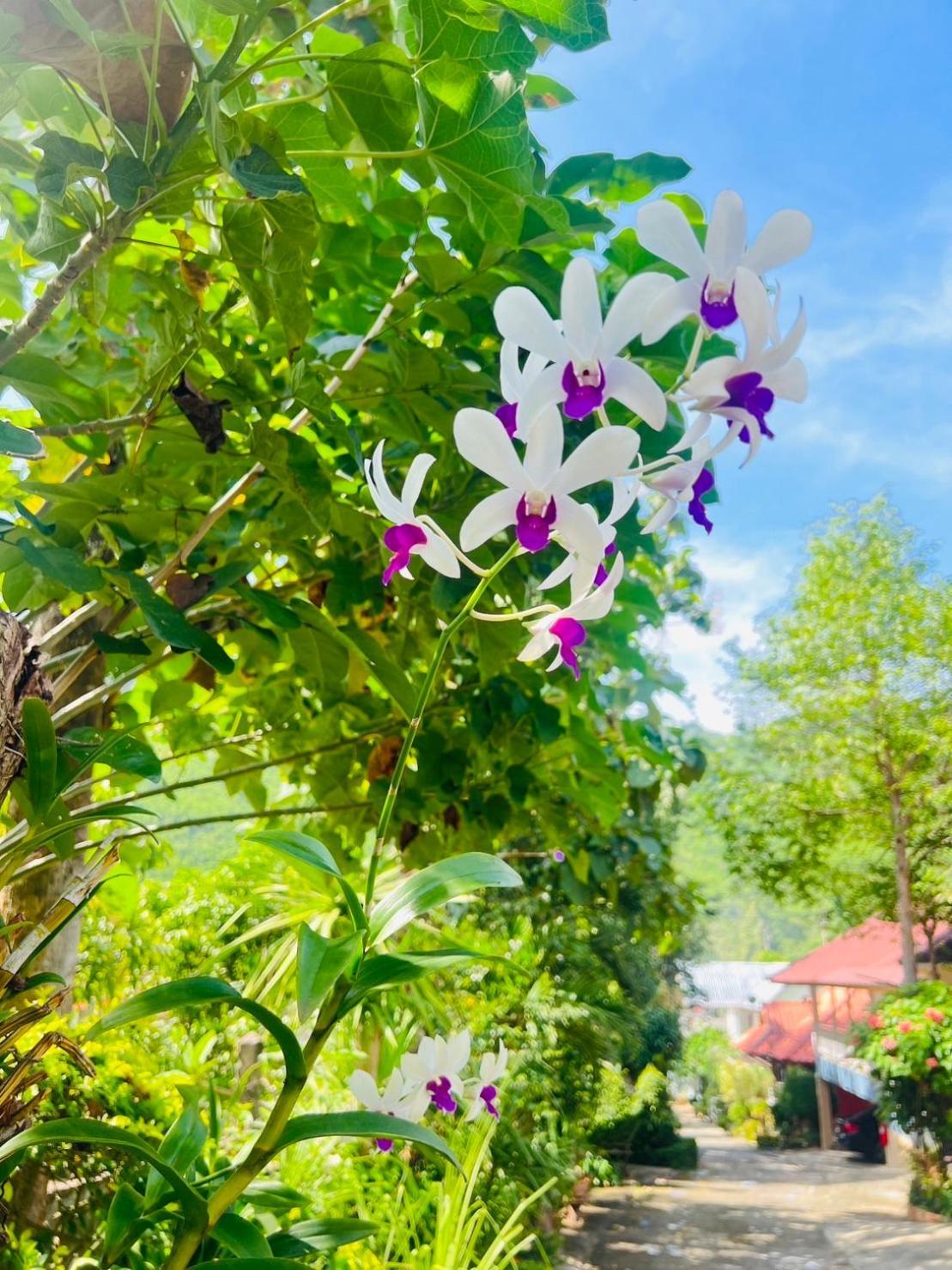 Suriyan Villa Erawan Kanchanaburi สุริยัน วิลล่า เอราวัณ กาญจนบุรี Tha Kradan Dış mekan fotoğraf